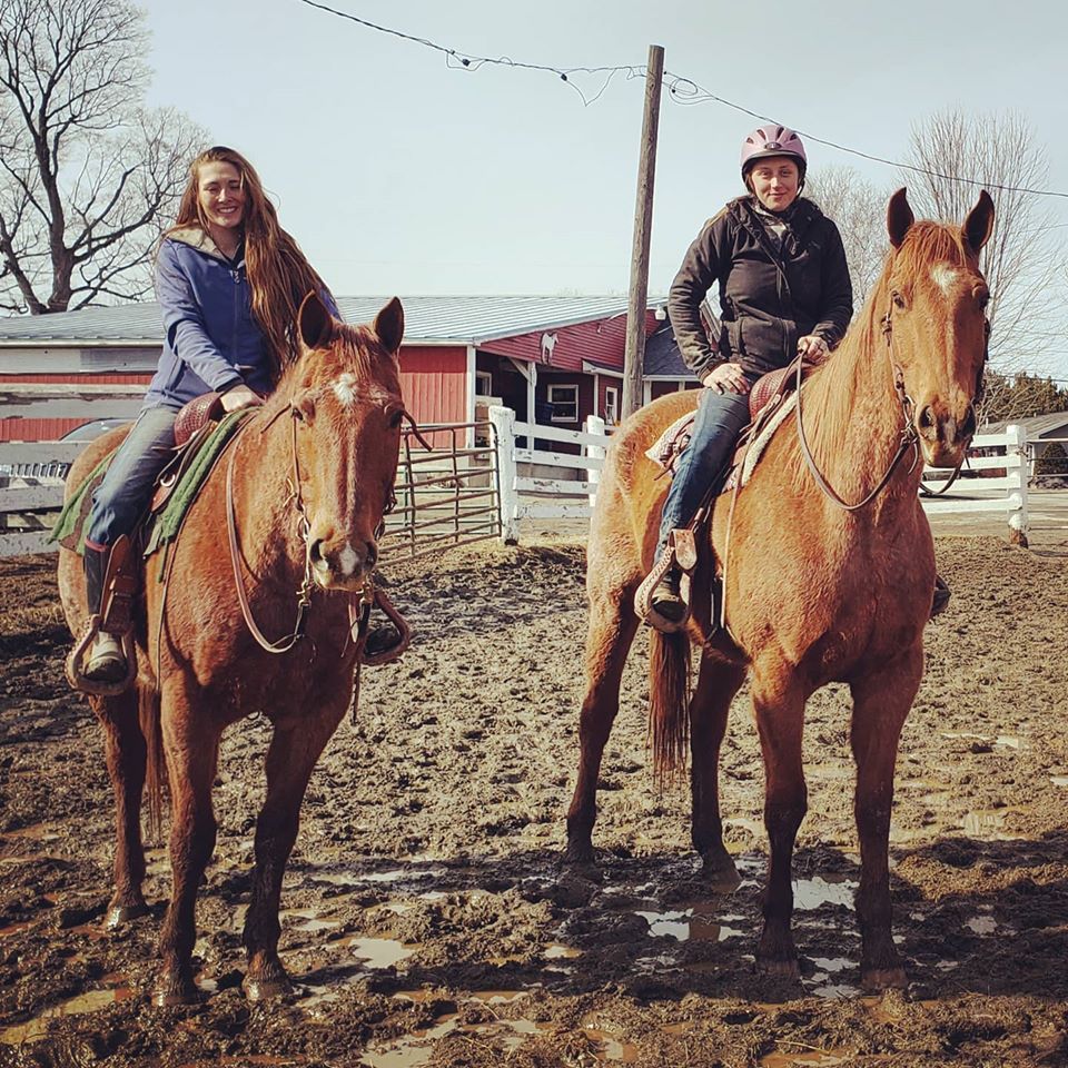 Hemphill's Horses, Feed, & Saddlery Visit Us Today 04989