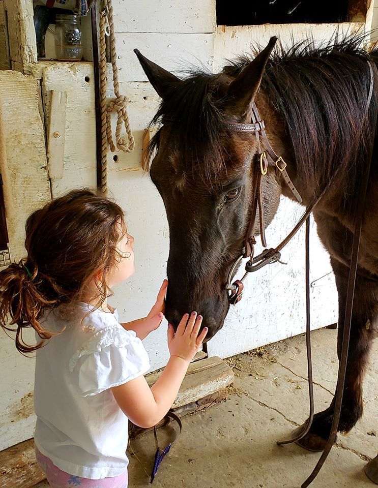 Our story - tack store Maine