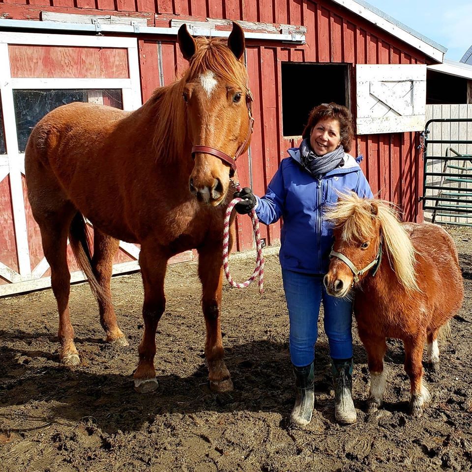 Our Story | Hemphill's Horses, Feed, & Saddlery | 04989