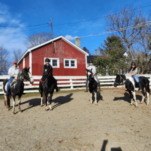 horse ownership in Vassalboro, ME