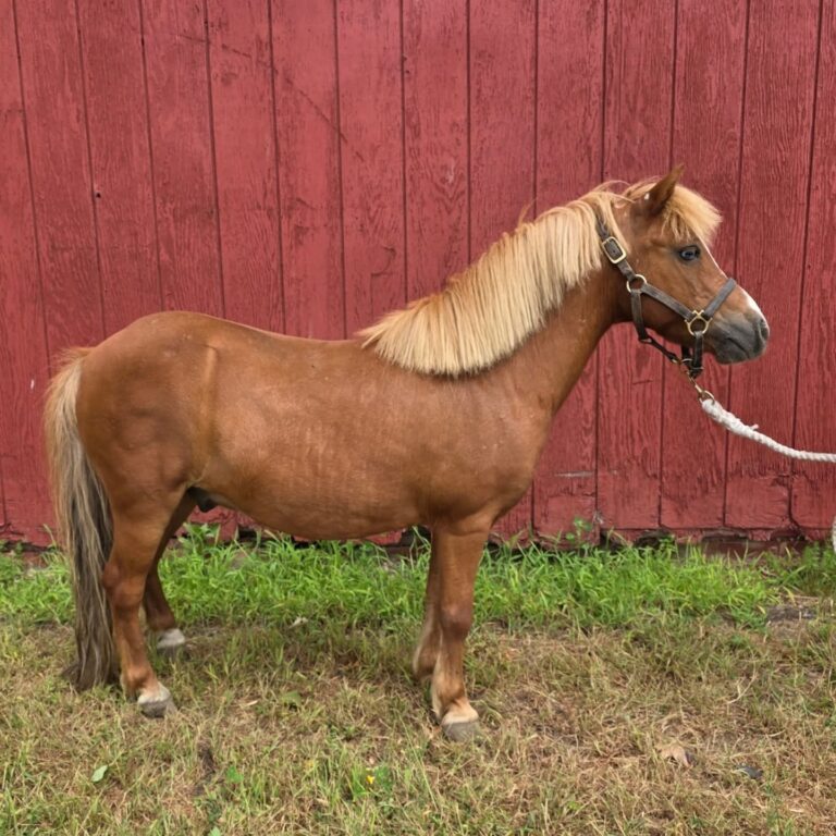 Erik