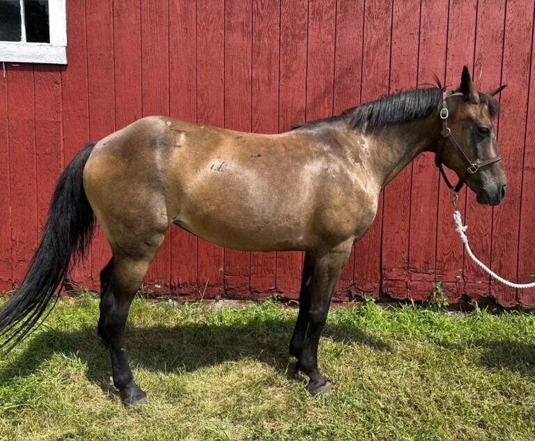 Juanita